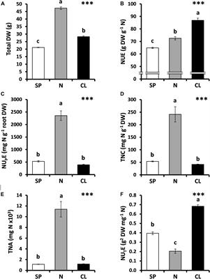 Chloride Improves Nitrate Utilization and NUE in Plants